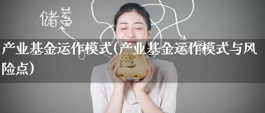 产业基金运作模式(产业基金运作模式与风险点)_https://www.zzcnk.com_基金_第1张