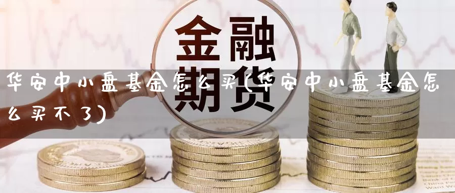 华安中小盘基金怎么买(华安中小盘基金怎么买不了)_https://www.zzcnk.com_基金_第1张