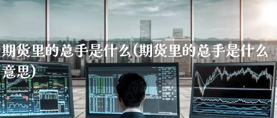 期货里的总手是什么(期货里的总手是什么意思)_https://www.zzcnk.com_期货_第1张