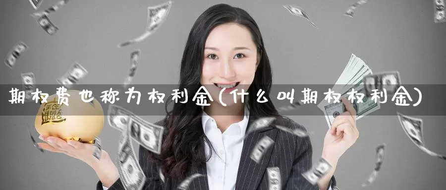 期权费也称为权利金(什么叫期权权利金)_https://www.zzcnk.com_期货直播_第1张