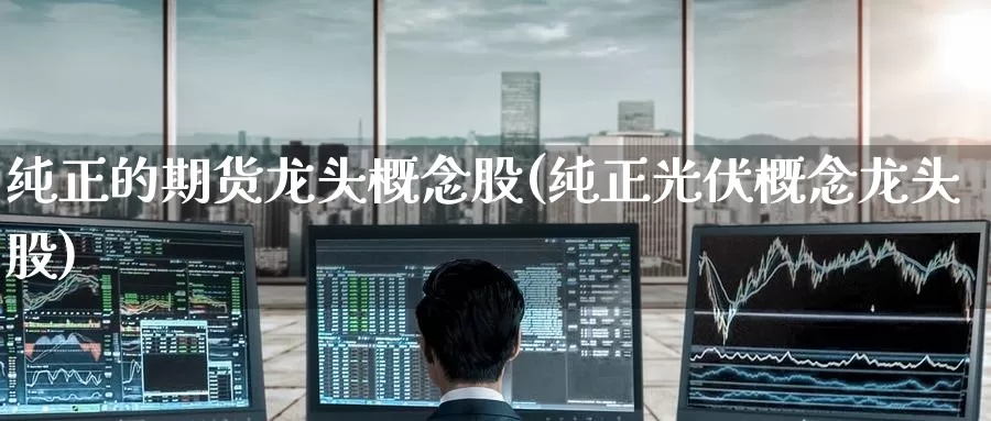纯正的期货龙头概念股(纯正光伏概念龙头股)_https://www.zzcnk.com_纳指期货_第1张