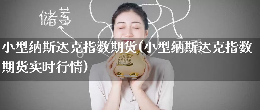 小型纳斯达克指数期货(小型纳斯达克指数期货实时行情)_https://www.zzcnk.com_纳指期货_第1张