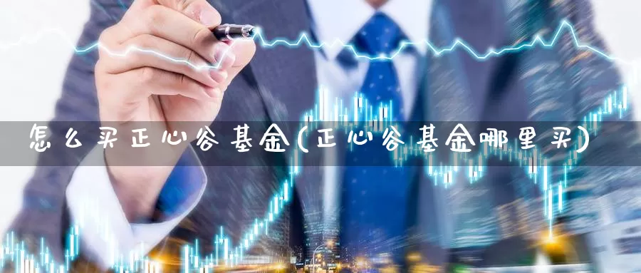 怎么买正心谷基金(正心谷基金哪里买)_https://www.zzcnk.com_基金_第1张