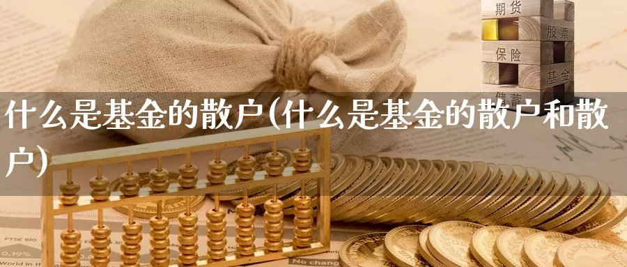 什么是基金的散户(什么是基金的散户和散户)_https://www.zzcnk.com_基金_第1张