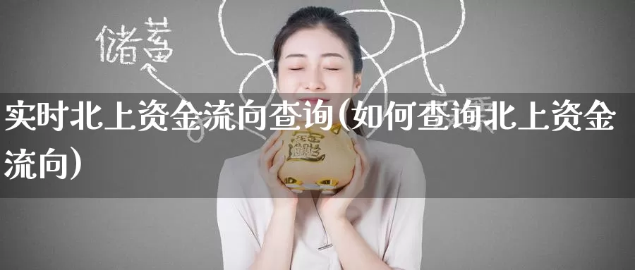 实时北上资金流向查询(如何查询北上资金流向)_https://www.zzcnk.com_股指期货_第1张