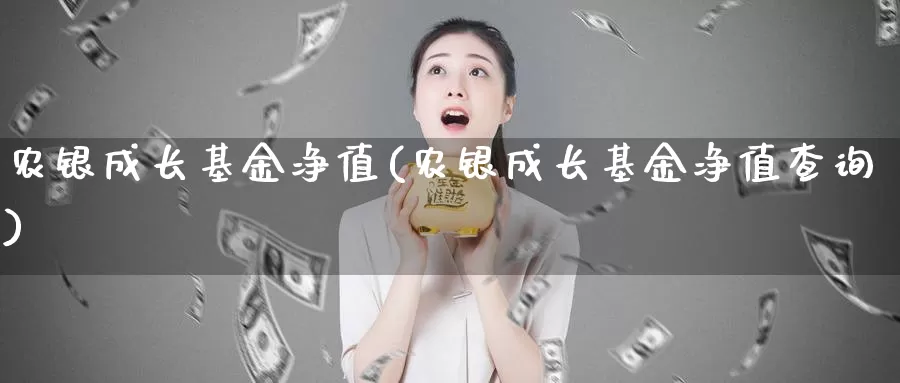 农银成长基金净值(农银成长基金净值查询)_https://www.zzcnk.com_财经_第1张
