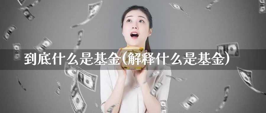 到底什么是基金(解释什么是基金)_https://www.zzcnk.com_股指期货_第1张