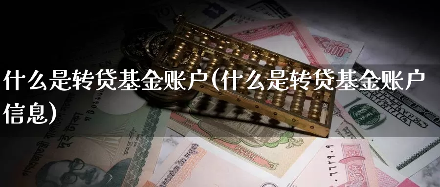 什么是转贷基金账户(什么是转贷基金账户信息)_https://www.zzcnk.com_基金_第1张