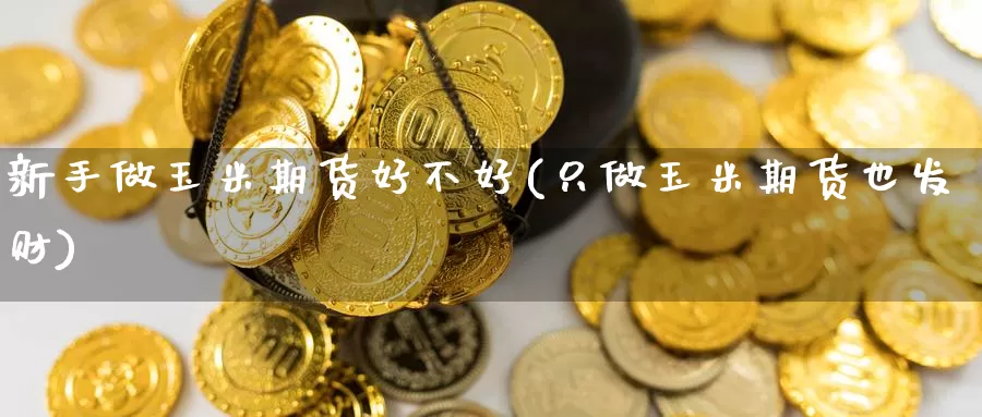 新手做玉米期货好不好(只做玉米期货也发财)_https://www.zzcnk.com_纳指期货_第1张