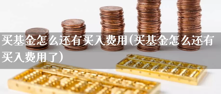 买基金怎么还有买入费用(买基金怎么还有买入费用了)_https://www.zzcnk.com_基金_第1张