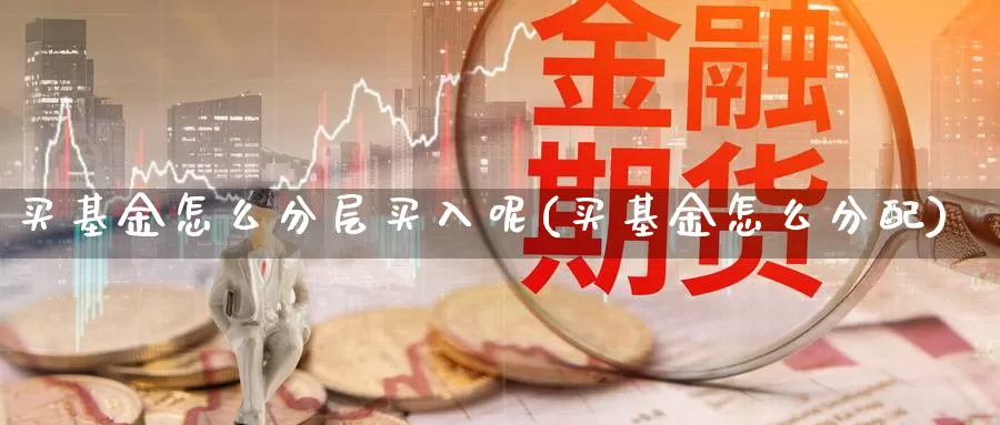买基金怎么分层买入呢(买基金怎么分配)_https://www.zzcnk.com_基金_第1张