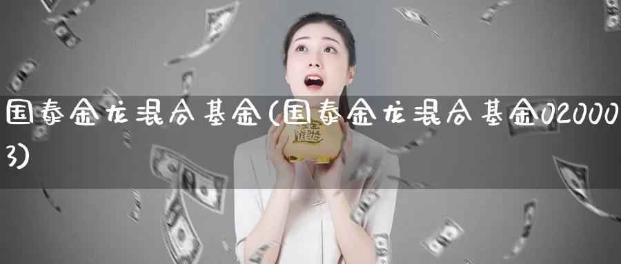 国泰金龙混合基金(国泰金龙混合基金020003)_https://www.zzcnk.com_期货_第1张