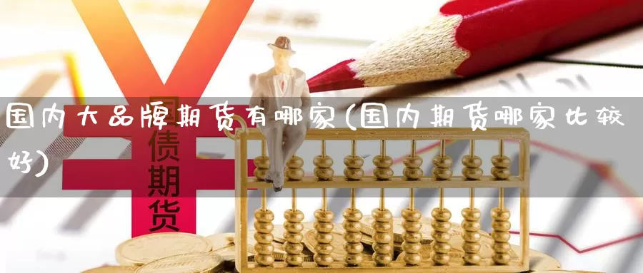 国内大品牌期货有哪家(国内期货哪家比较好)_https://www.zzcnk.com_纳指期货_第1张