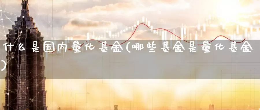 什么是国内量化基金(哪些基金是量化基金)_https://www.zzcnk.com_基金_第1张