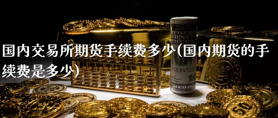 国内交易所期货手续费多少(国内期货的手续费是多少)_https://www.zzcnk.com_纳指期货_第1张