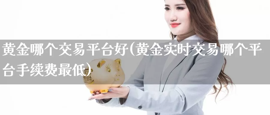 黄金哪个交易平台好(黄金实时交易哪个平台手续费最低)_https://www.zzcnk.com_原油期货_第1张