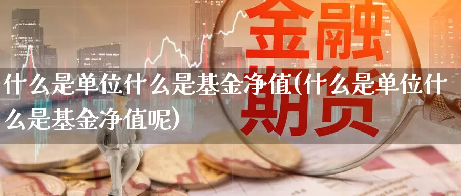 什么是单位什么是基金净值(什么是单位什么是基金净值呢)_https://www.zzcnk.com_基金_第1张