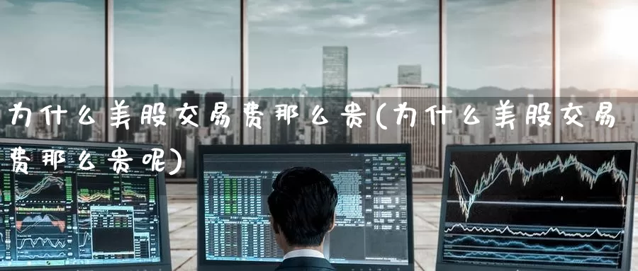 为什么美股交易费那么贵(为什么美股交易费那么贵呢)_https://www.zzcnk.com_理财_第1张