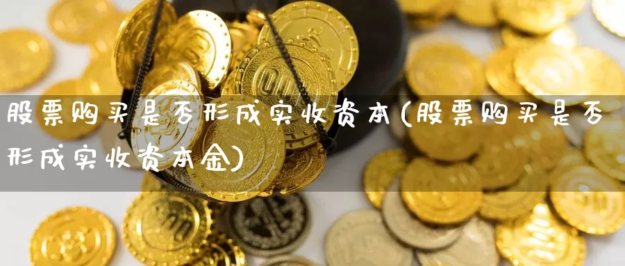 股票购买是否形成实收资本(股票购买是否形成实收资本金)_https://www.zzcnk.com_股票_第1张