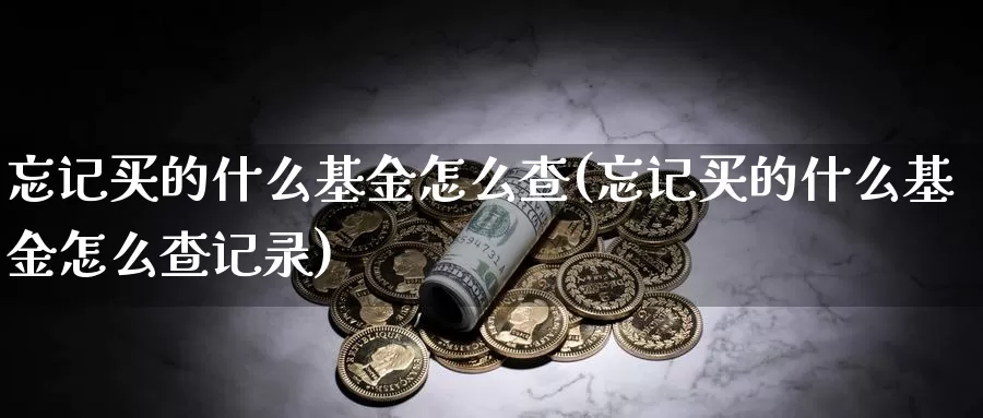 忘记买的什么基金怎么查(忘记买的什么基金怎么查记录)_https://www.zzcnk.com_基金_第1张