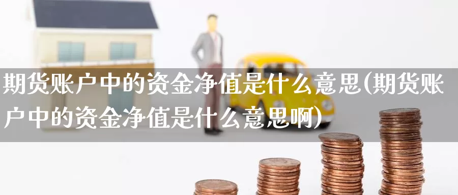期货账户中的资金净值是什么意思(期货账户中的资金净值是什么意思啊)_期货百科_第1张_国际期货直播室 期货账户中的资金净值是什么意思(期货账户中的资金净值是什么意思啊)_https://www.zzcnk.com_期货百科_第1张