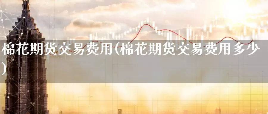 棉花期货交易费用(棉花期货交易费用多少)_https://www.zzcnk.com_期货直播_第1张