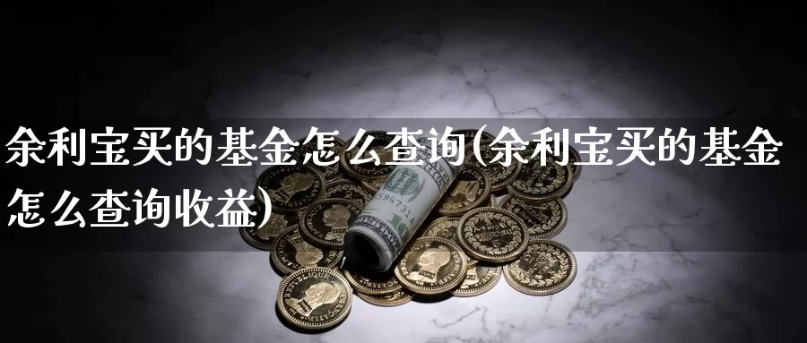 余利宝买的基金怎么查询(余利宝买的基金怎么查询收益)_https://www.zzcnk.com_基金_第1张