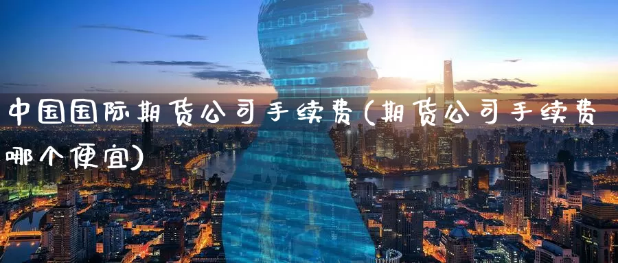 中国国际期货公司手续费(期货公司手续费哪个便宜)_https://www.zzcnk.com_期货直播_第1张