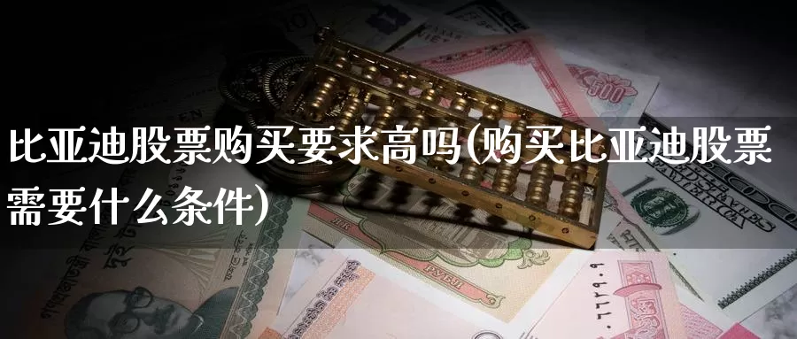 比亚迪股票购买要求高吗(购买比亚迪股票需要什么条件)_https://www.zzcnk.com_股票_第1张