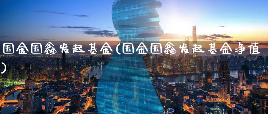 国金国鑫发起基金(国金国鑫发起基金净值)_https://www.zzcnk.com_期货_第1张