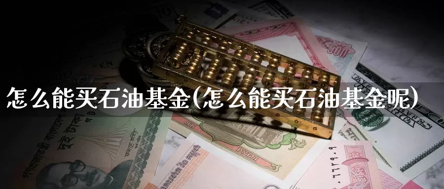 怎么能买石油基金(怎么能买石油基金呢)_https://www.zzcnk.com_基金_第1张