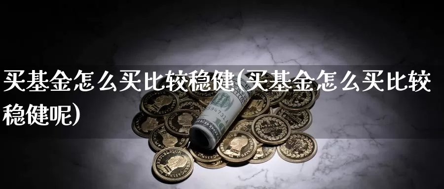 买基金怎么买比较稳健(买基金怎么买比较稳健呢)_https://www.zzcnk.com_基金_第1张