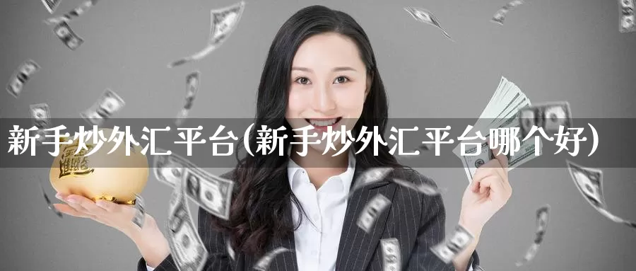 新手炒外汇平台(新手炒外汇平台哪个好)_https://www.zzcnk.com_内盘期货_第1张