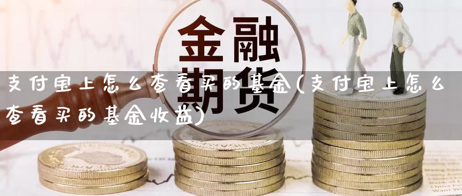 支付宝上怎么查看买的基金(支付宝上怎么查看买的基金收益)_https://www.zzcnk.com_基金_第1张