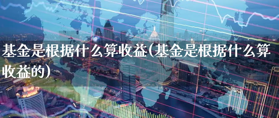 基金是根据什么算收益(基金是根据什么算收益的)_https://www.zzcnk.com_基金_第1张