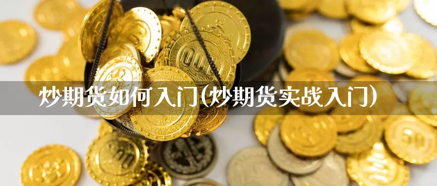 炒期货如何入门(炒期货实战入门)_https://www.zzcnk.com_恒生指数_第1张