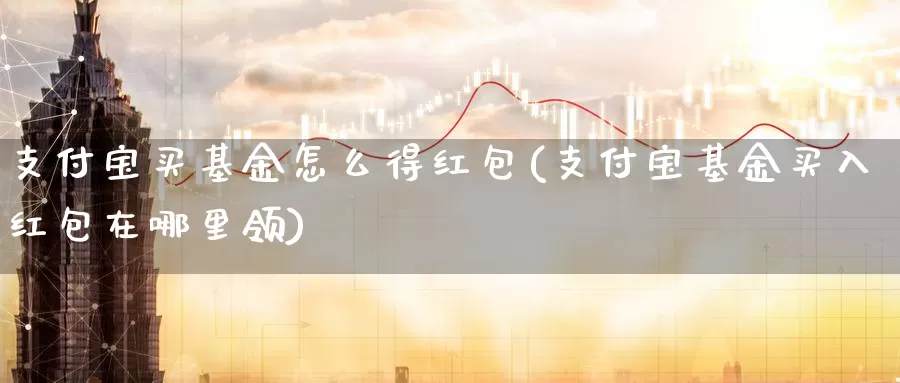 支付宝买基金怎么得(支付宝基金买入在哪里领)_https://www.zzcnk.com_基金_第1张