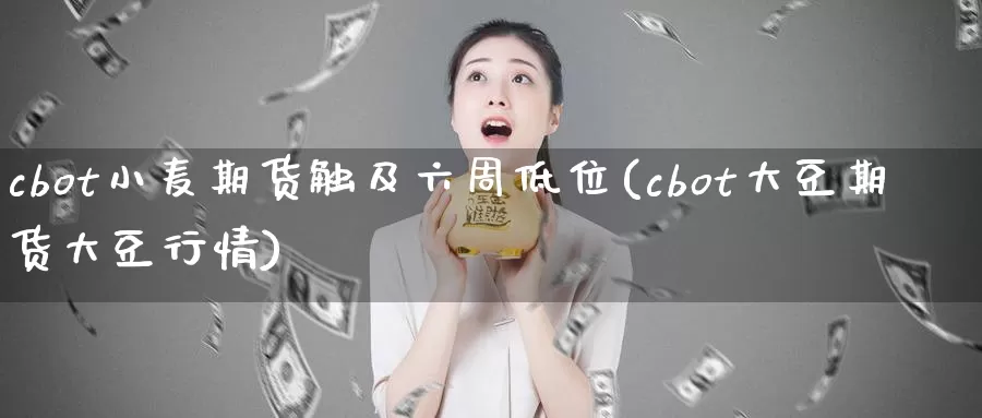 cbot小麦期货触及六周低位(cbot大豆期货大豆行情)_https://www.zzcnk.com_股指期货_第1张
