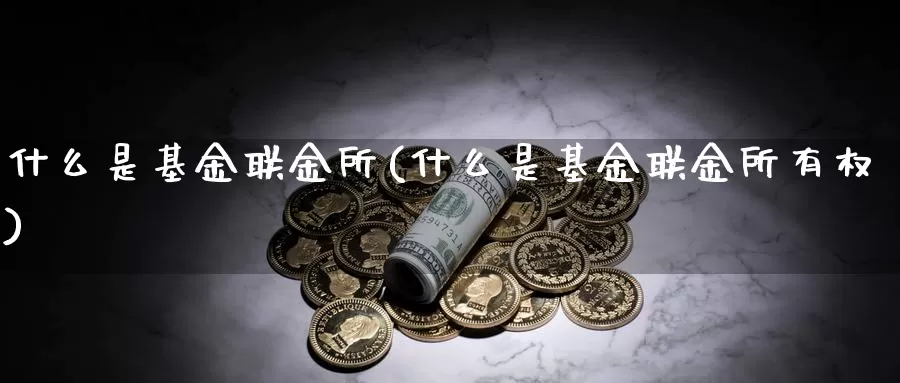 什么是基金联金所(什么是基金联金所有权)_https://www.zzcnk.com_基金_第1张