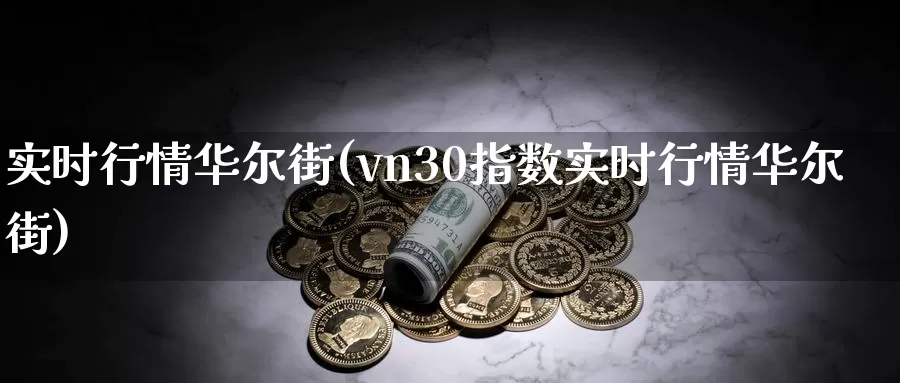 实时行情华尔街(vn30指数实时行情华尔街)_https://www.zzcnk.com_股指期货_第1张