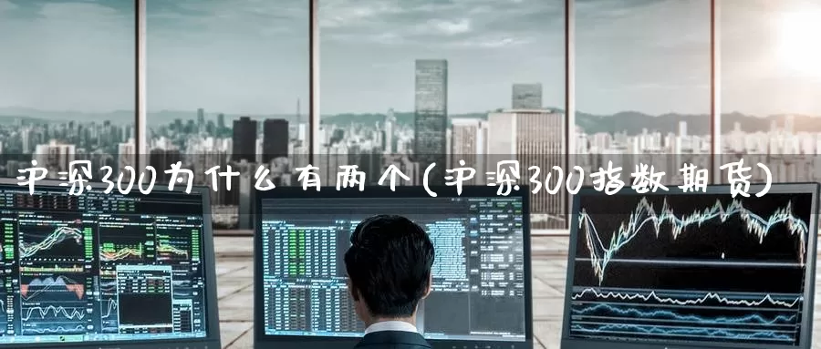 沪深300为什么有两个(沪深300指数期货)_https://www.zzcnk.com_期货百科_第1张