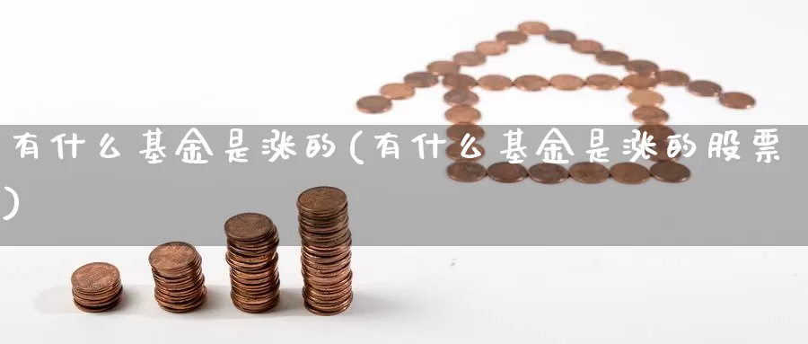 有什么基金是涨的(有什么基金是涨的股票)_https://www.zzcnk.com_基金_第1张
