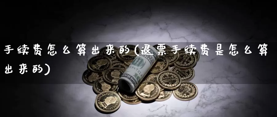 手续费怎么算出来的(退票手续费是怎么算出来的)_https://www.zzcnk.com_恒生指数_第1张