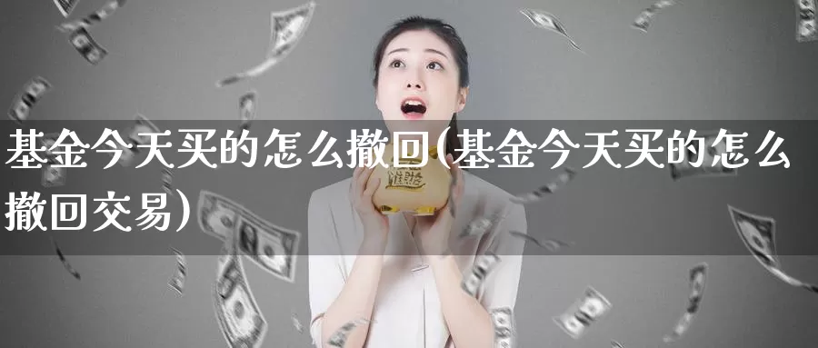 基金今天买的怎么撤回(基金今天买的怎么撤回交易)_https://www.zzcnk.com_基金_第1张