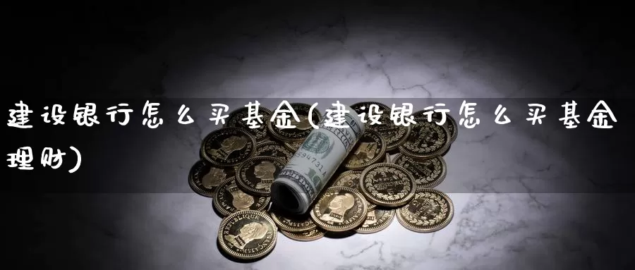 建设银行怎么买基金(建设银行怎么买基金理财)_https://www.zzcnk.com_基金_第1张