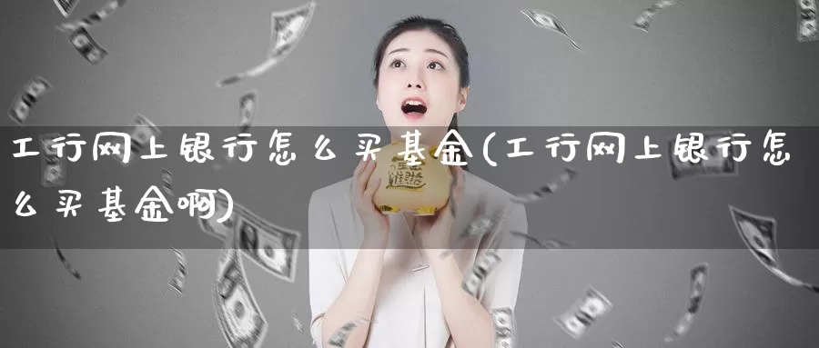 工行网上银行怎么买基金(工行网上银行怎么买基金啊)_https://www.zzcnk.com_基金_第1张