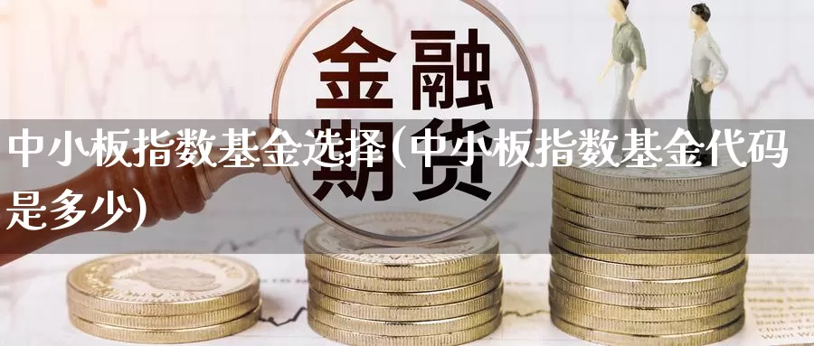 中小板指数基金选择(中小板指数基金代码是多少)_https://www.zzcnk.com_恒生指数_第1张