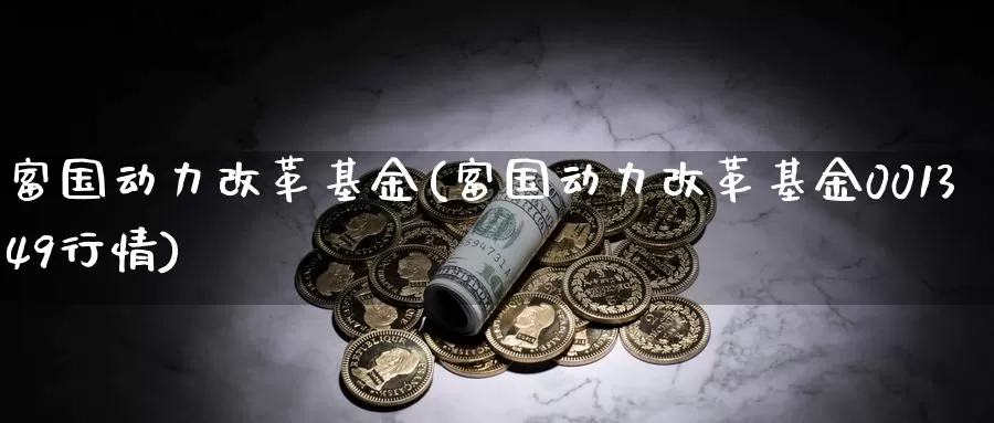 富国动力**基金(富国动力**基金001349行情)_https://www.zzcnk.com_基金_第1张