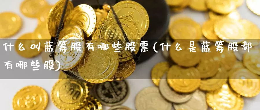 什么叫蓝筹股有哪些股票(什么是蓝筹股都有哪些股)_https://www.zzcnk.com_原油期货_第1张