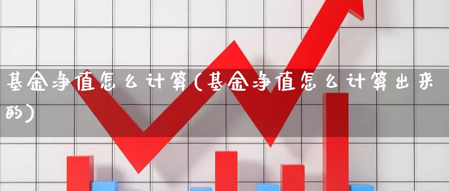 基金净值怎么计算(基金净值怎么计算出来的)_https://www.zzcnk.com_理财_第1张